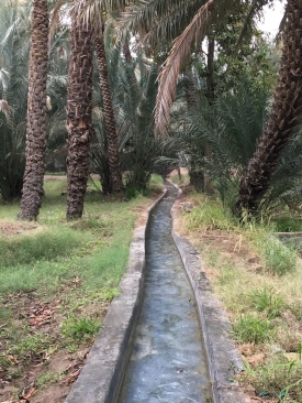 Al Ain Oasis