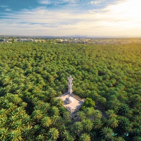 Al Ain Oasis captured by Liam