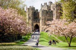 Alnwick Castle