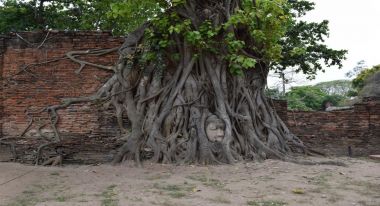 Ayutthaya Historical Park