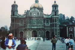 Basilica of Our Lady of Guadalupe