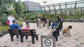 Jardín de cactus del Aeropuerto Changi T1
