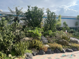 Cactus Garden Changi Airport
