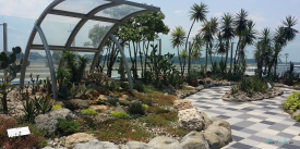 Cactus Garden Changi Airport