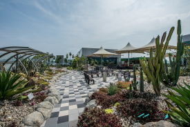 Cactus Garden Changi Airport T