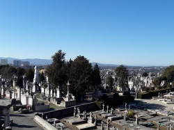 Cemetery of Loyasse