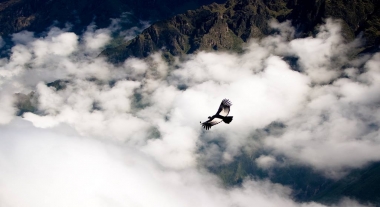 Colca Canyon