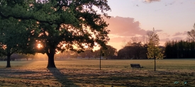 Hagley Park And Gardens.jpeg