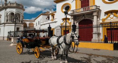 La Real Maestranza