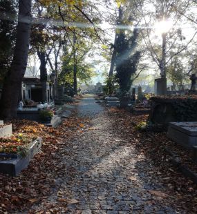 Rakowicki Cemetery