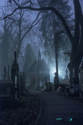 Rakowicki Cemetery at night.jpeg