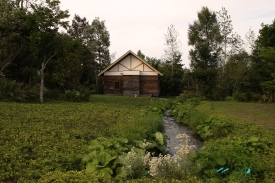 Rokka Forest