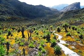 Rwenzori Mountains National Park