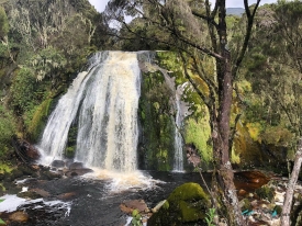 Rwenzori Mountains National Park