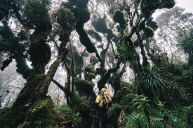 Rwenzori Mountains National Park