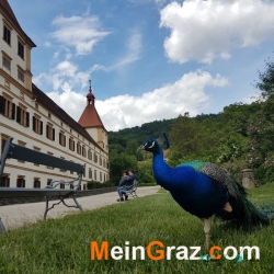 Schloss Eggenberg