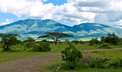Serengeti National Park