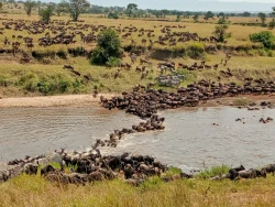 Serengeti National Park