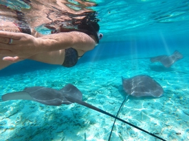 Snorkelling off Bora Bora