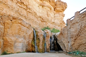 Tamerza Oasis