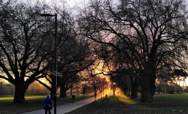 The shared path in Hagley Park Christchurch.jpeg