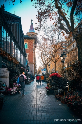 barcelona city flowers