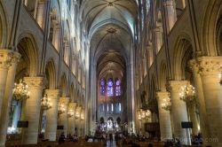 inside notre dame cathedral