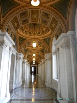 library congress