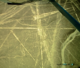 nazca lines