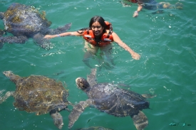 nuro swimming with turtles