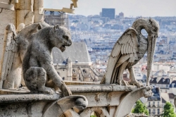 Notre-Dame Cathédrale